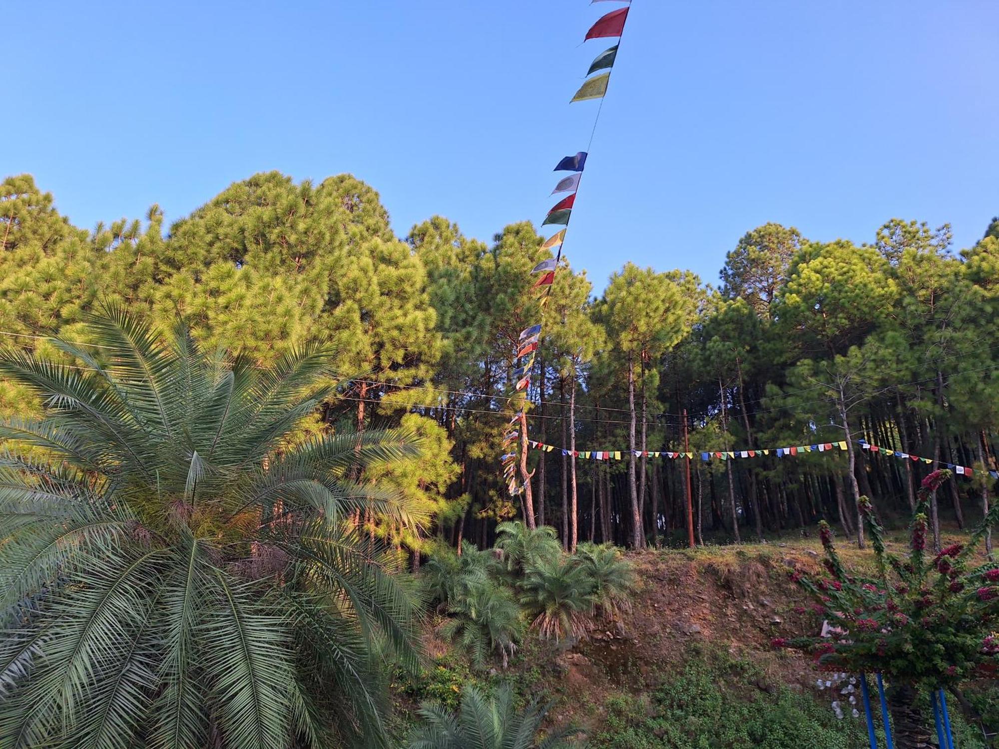 Tathastu Bir -Homestay ,Dorm,Hostel 外观 照片