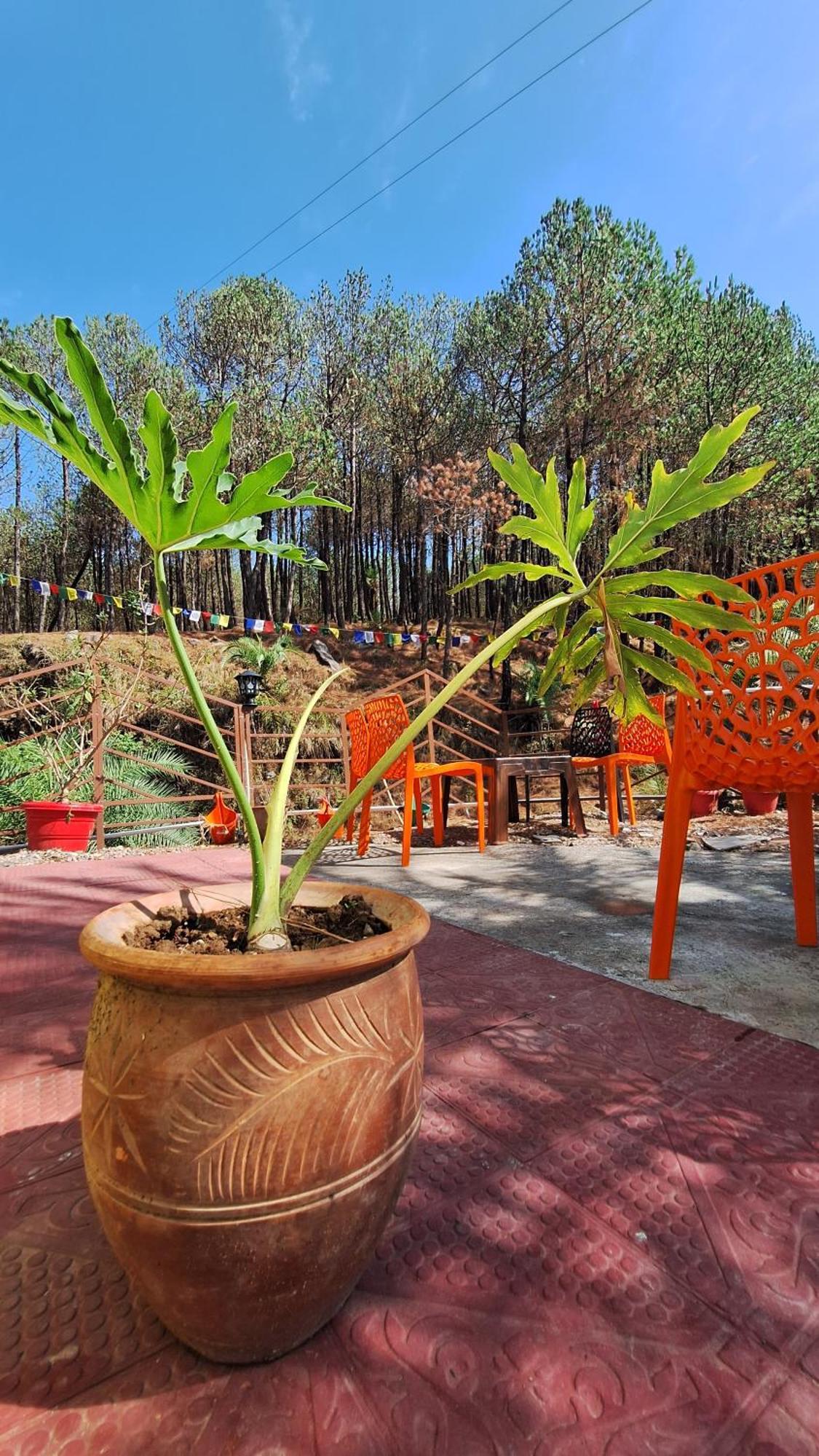 Tathastu Bir -Homestay ,Dorm,Hostel 外观 照片