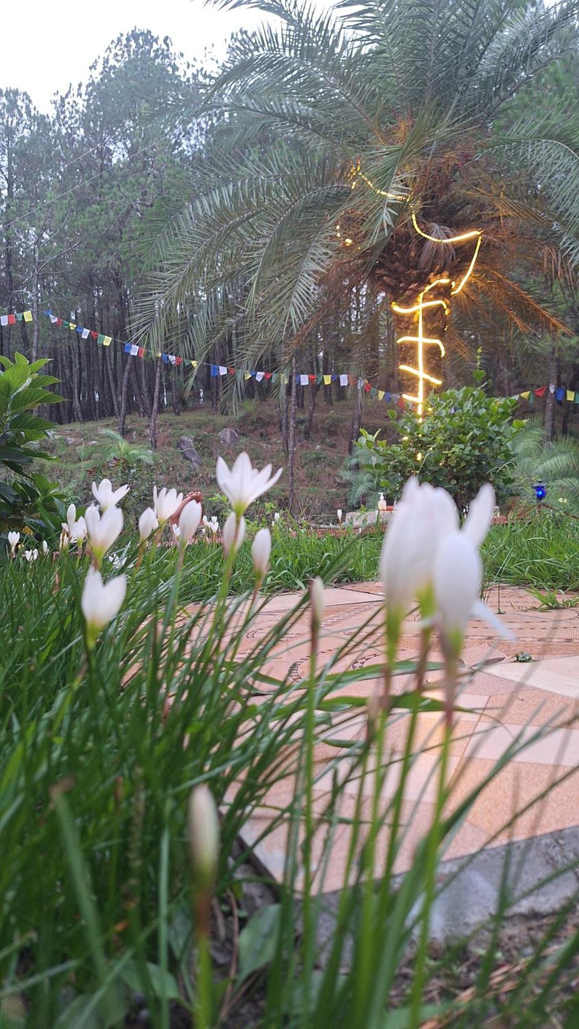 Tathastu Bir -Homestay ,Dorm,Hostel 外观 照片