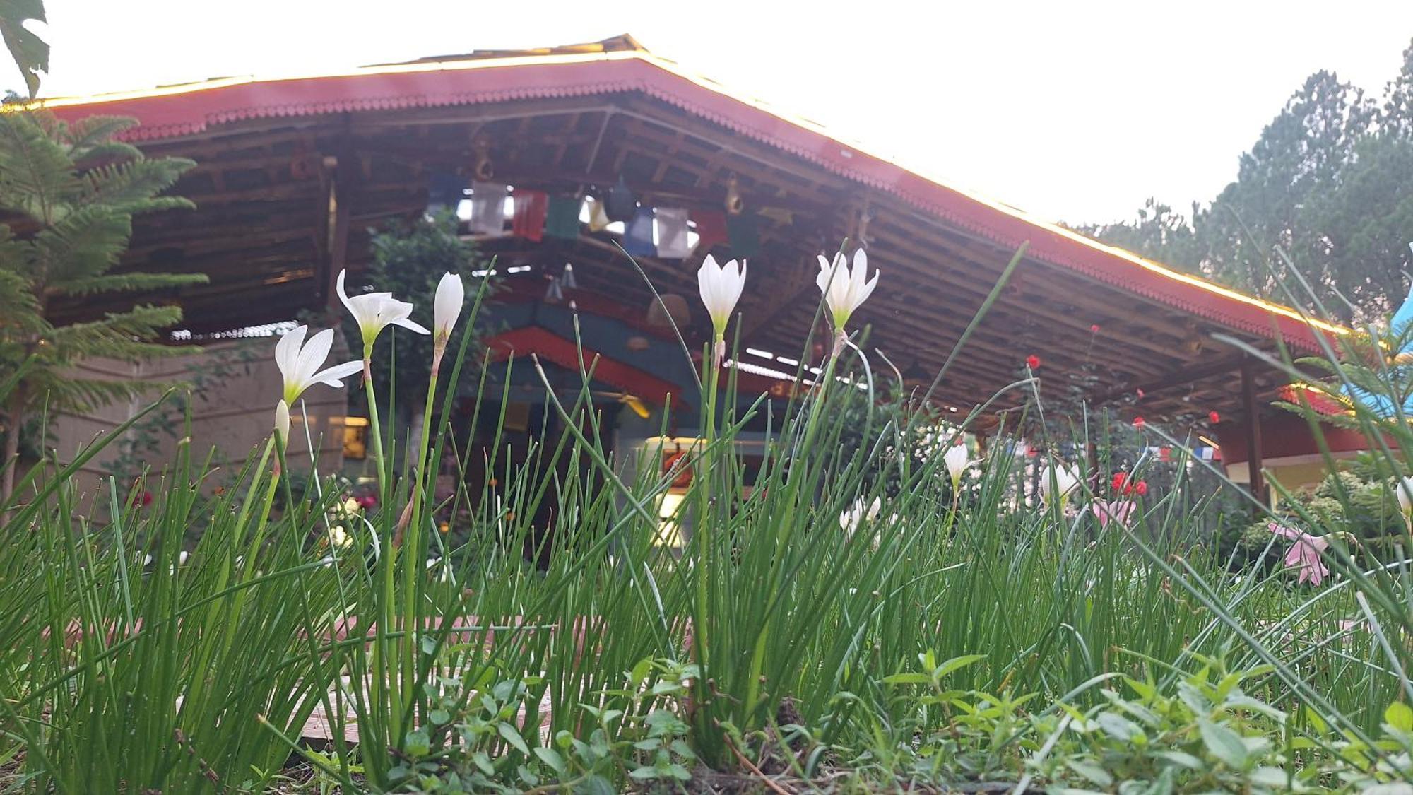 Tathastu Bir -Homestay ,Dorm,Hostel 外观 照片