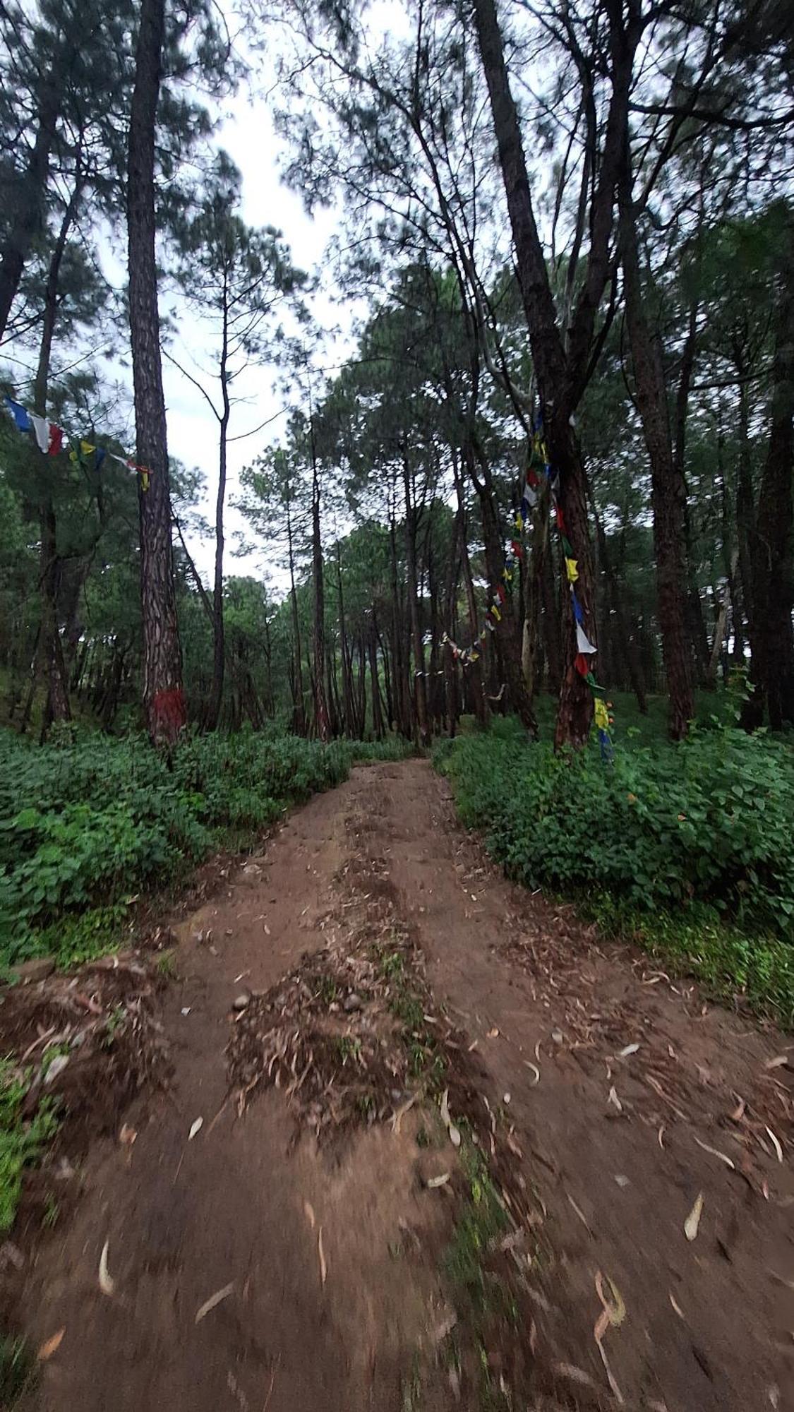Tathastu Bir -Homestay ,Dorm,Hostel 外观 照片