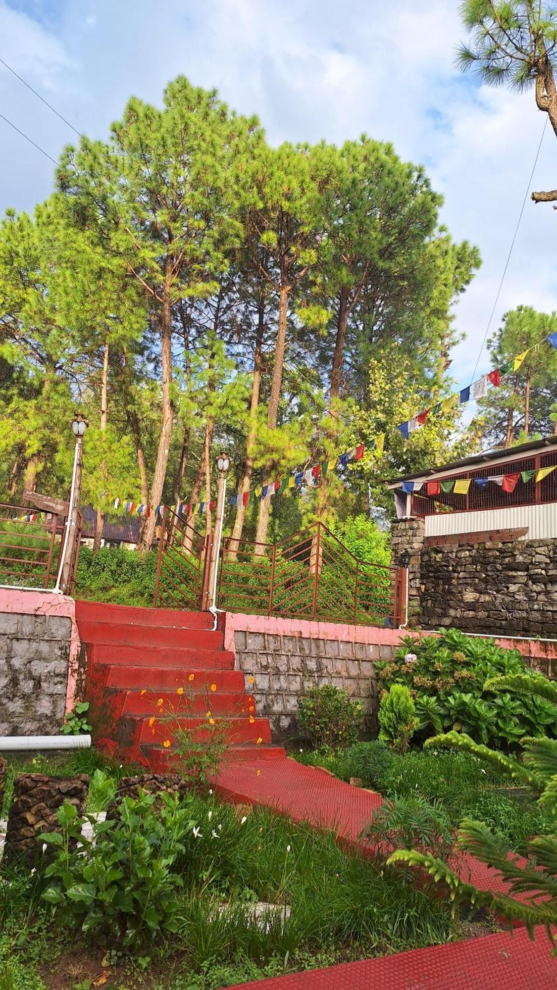 Tathastu Bir -Homestay ,Dorm,Hostel 外观 照片