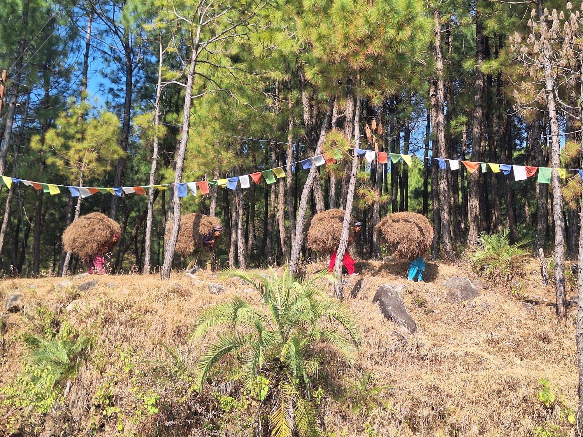 Tathastu Bir -Homestay ,Dorm,Hostel 外观 照片
